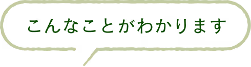 こんなことがわかります