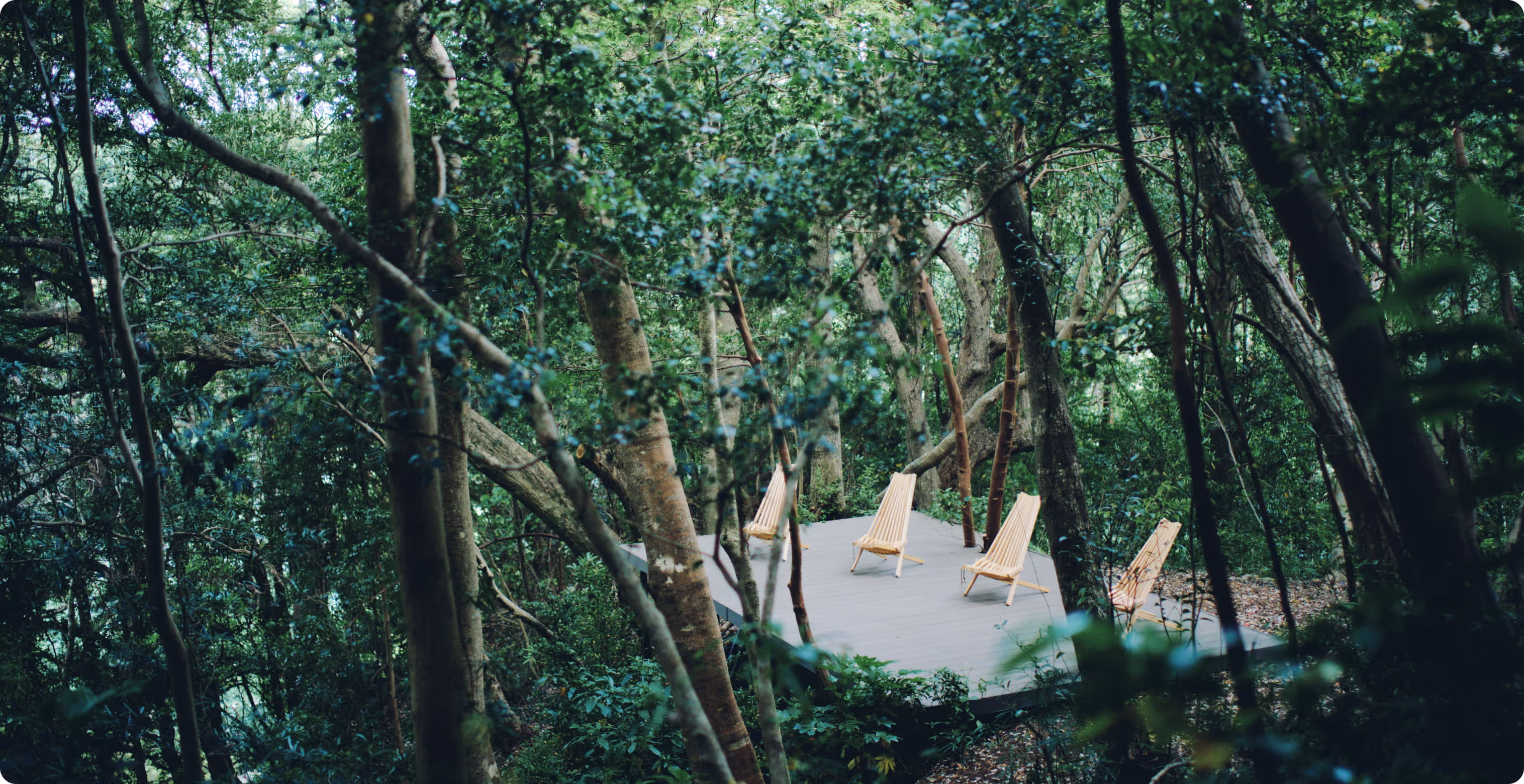 循環葬の森 風景1