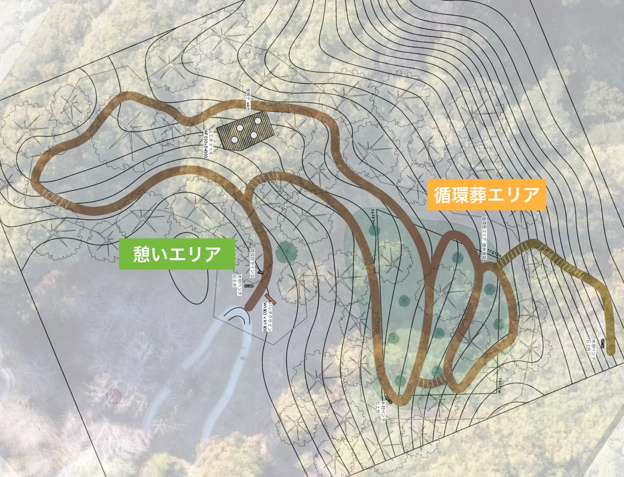 荒れ果てた森が生命の循環する森へ | 森をつくる取り組み