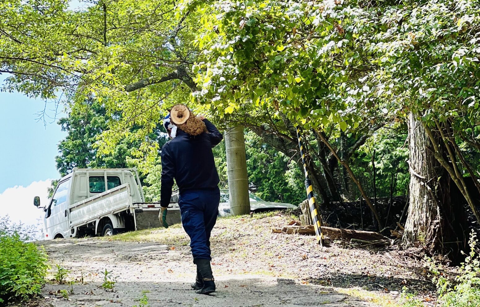 森林整備の様子