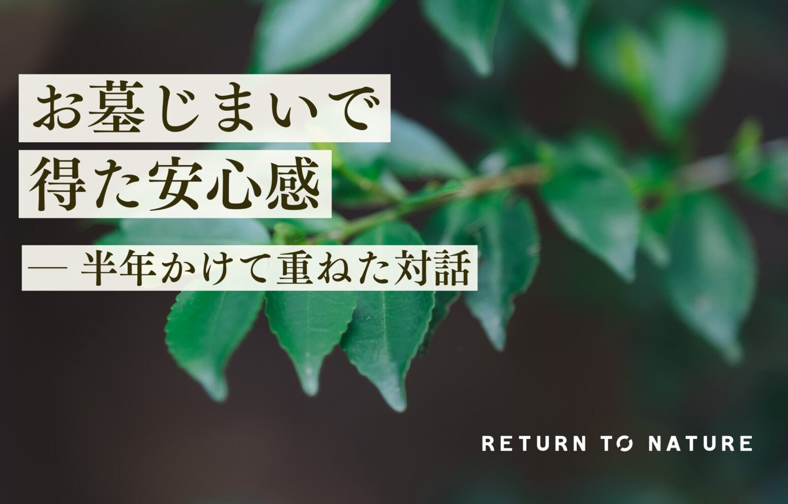 お墓じまい経験者の声